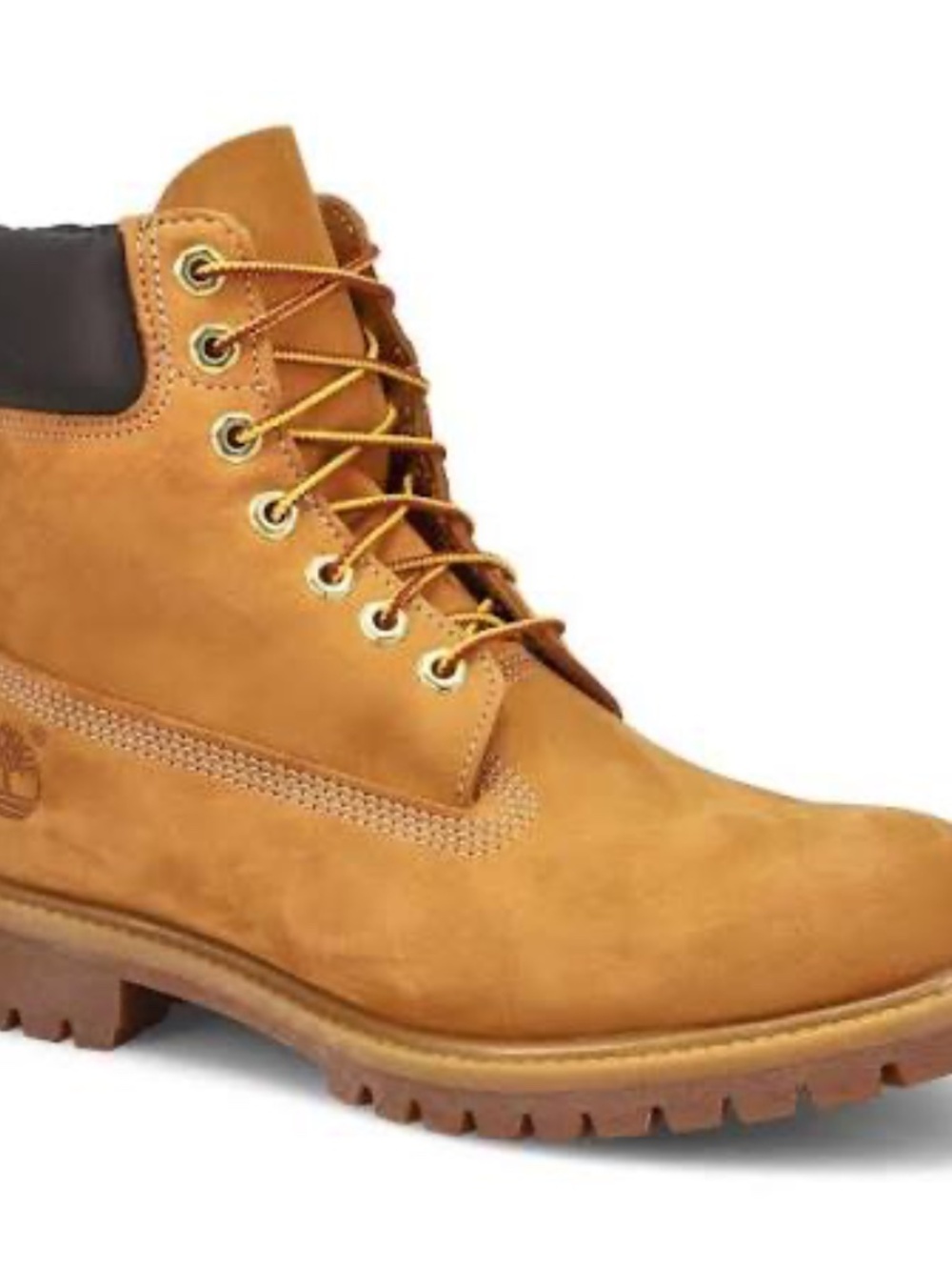 Wheat, Men's Timberland® Premium 6-Inch Waterproof Boot, 11.5
